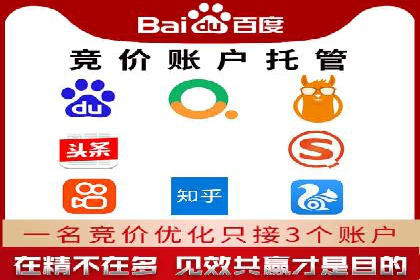 SEM托管服务助力企业实现快速转化案例